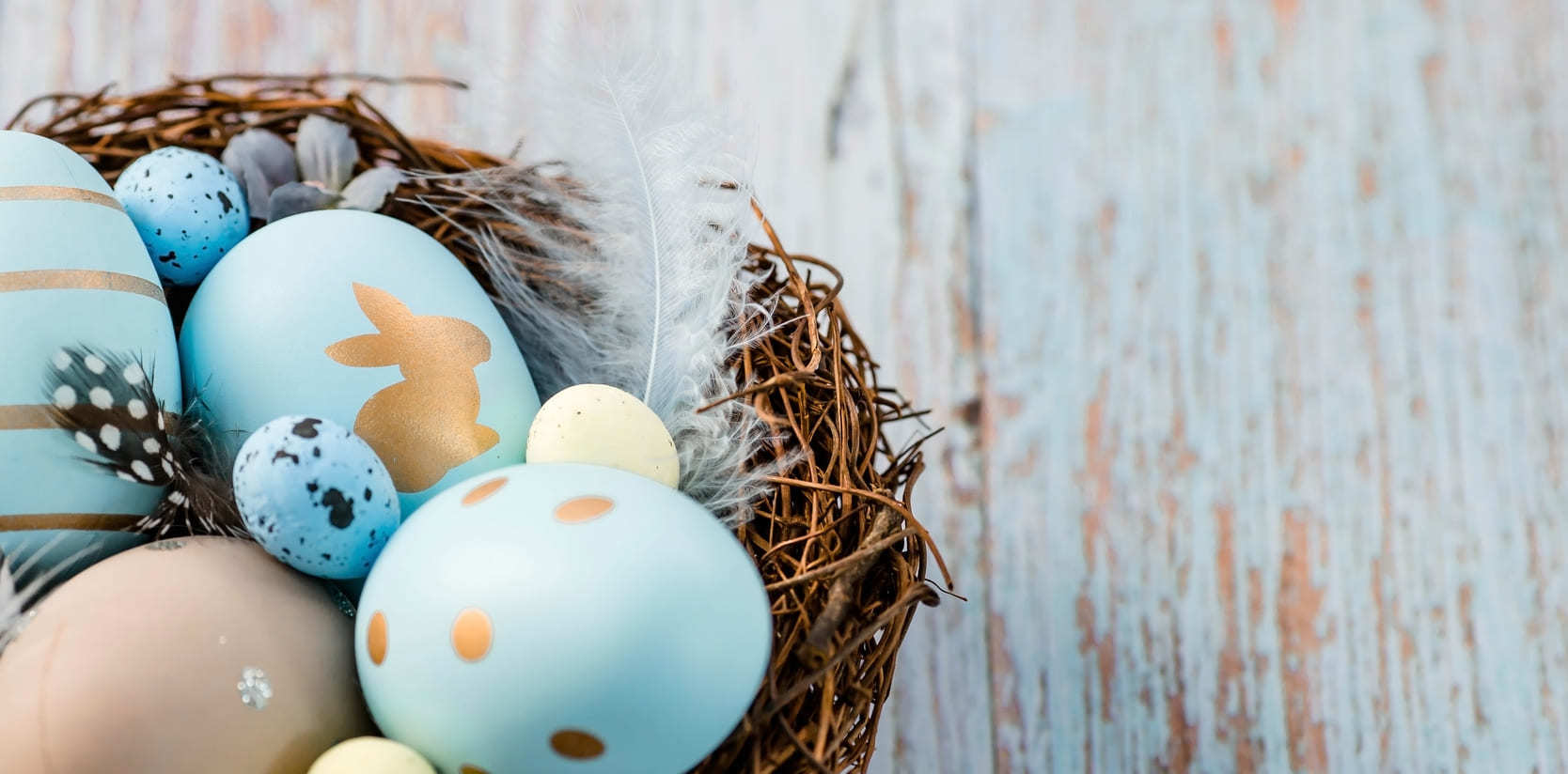 Easter eggs in pastel colors against a rustic wooden board